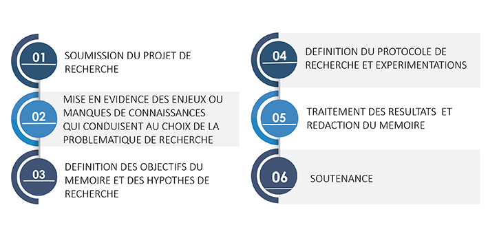 Schéma organisation pédagogique Schéma organisation pédagogique
