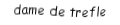 Je suis une carte à jouer. Je viens  après le valet, je suis noir mais pas de pique.